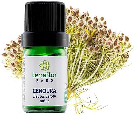 Terra Flor Óleo Essencial de Cenoura (Sementes) 5ml