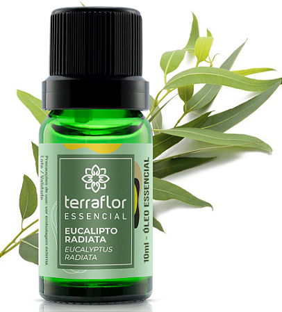 Terra Flor Óleo Essencial de Eucalipto Radiata 10ml