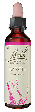 Florais de Bach Larch Original 20ml
