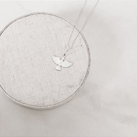 Colar pingente Espírito Santo 19mm 45cm5+5cm