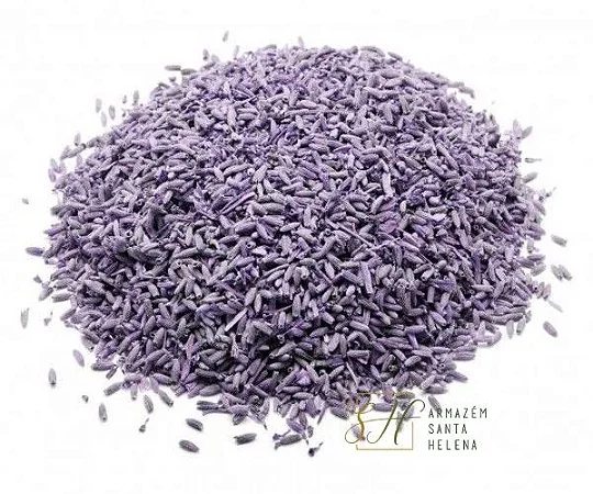 Alfazema azul - Lavanda (Flores)