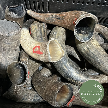 Chifre de Boi Natural Rústico - Tamanho P