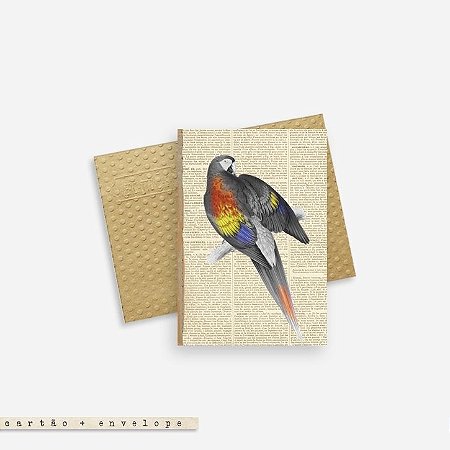Cartão Envelope - Arara