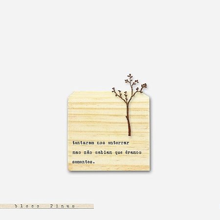 CUBO – TENTARAM NOS ENTERRAR MAS NÃO SABIAM QUE ÉRAMOS SEMENTES.