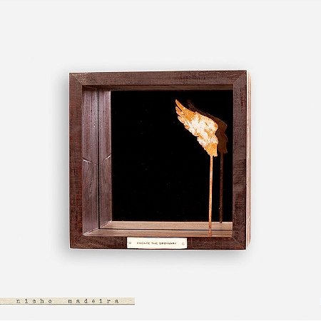 Nicho espelhado #1 - ASA