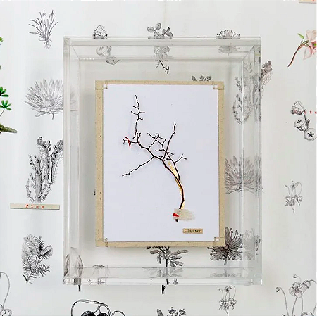 Quadro Acrílico Colagem P - Natureza Observe