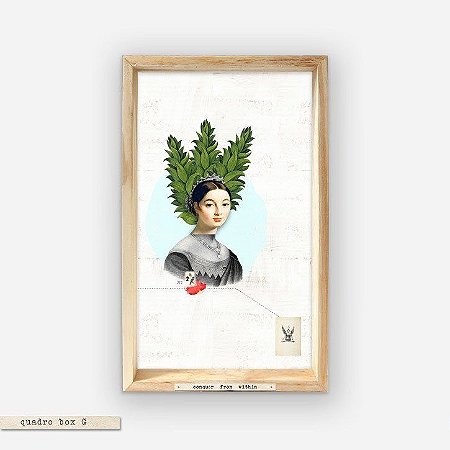 QUADRO BOX – CONQUER FOR WITHIN