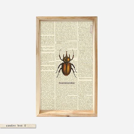 QUADRO BOX - Escaravelho
