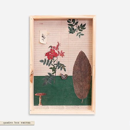 Quadro Box Colagem Botânica - Folha borboleta