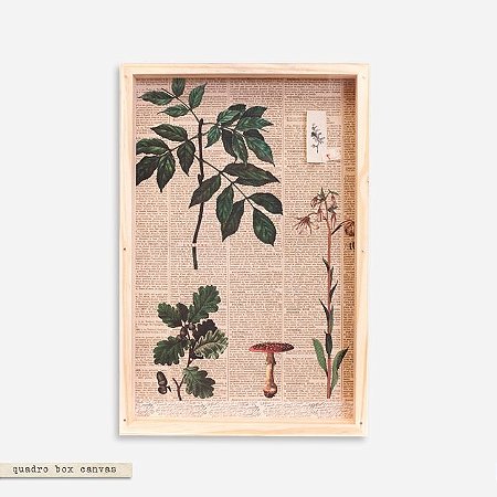 Quadro Box Colagem  Botânica - Galho