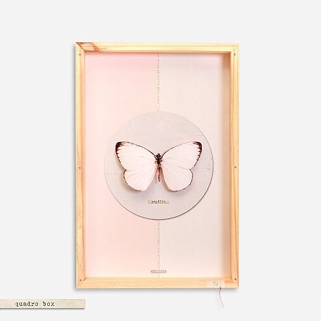 QUADRO BOX COLAGEM – BORBOLETA FLY