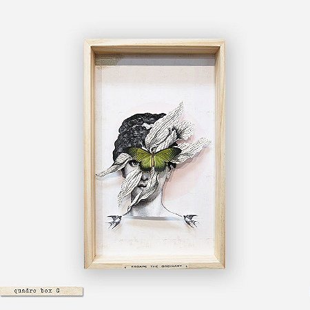 QUADRO BOX COLAGEM – ESCAPE THE ORDINARY