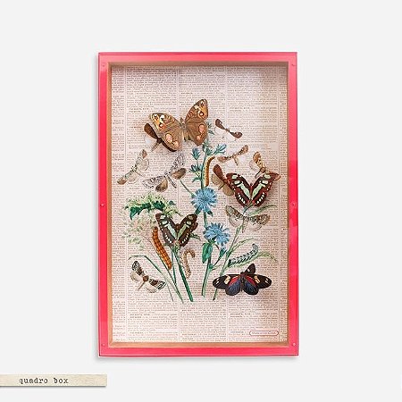 QUADRO BOX COLAGEM – FARFALLE PINK