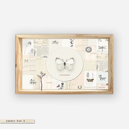 Quadro Box Colagem - Your fly is open