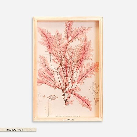 QUADRO BOX COLAGEM | BOTÂNICA: FOLHA ROSA