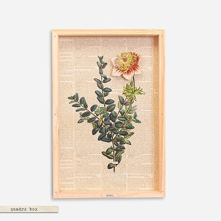 Quadro Box Colagem Botânica Ramo