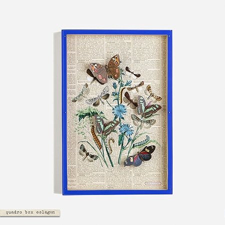 Quadro Box Colagem Farfalle Yves