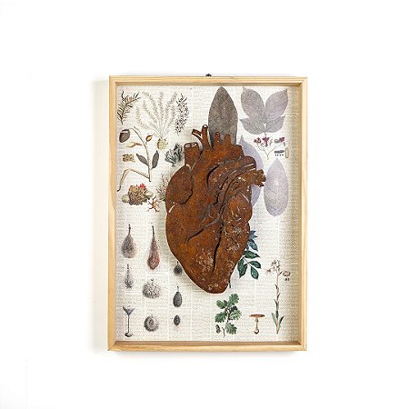 Quadro Box Coração Anatômico