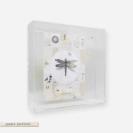 Quadro Caixa Acrílico Imã - Libélula Fly