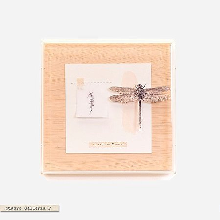 Quadro Galleria  - Libélula no rain no flower