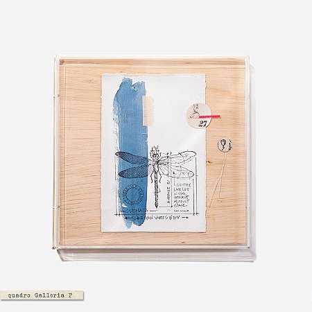 Quadro Galleria - Libélula Azul