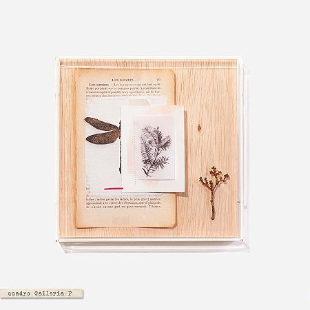 Quadro Galleria - Libélula Livro