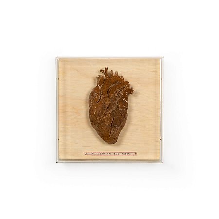 Quadro Galleria P - Coração Anatômico em Ferro