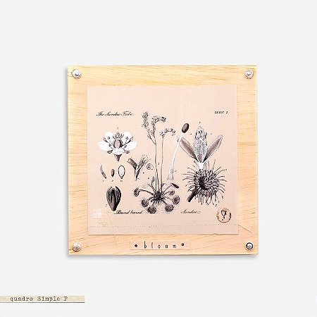 Quadro Simple M - Botânica Natural