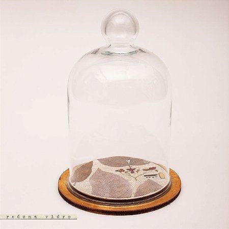 Redoma - botânica folhas