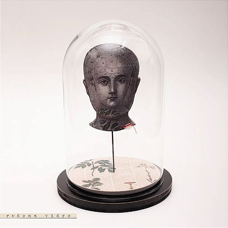 Redoma Universo - Semente