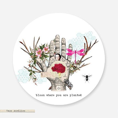 Vaso - Redondo Acrílico Bloom Where You Are Planted