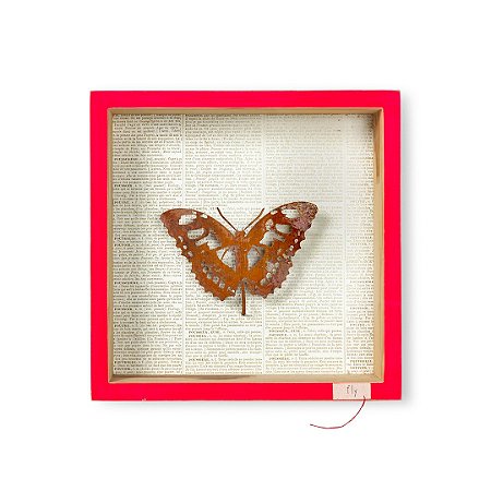 Quadro Caixa Pinus Pink - Borboleta em Ferro
