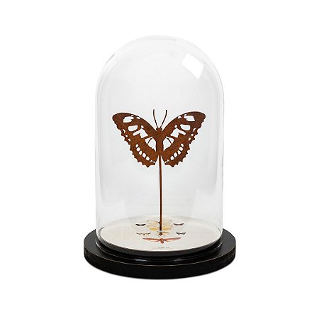 Redoma Universo G - Borboleta