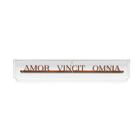 Frase de Ferro na Caixa - Amor vincit omnia