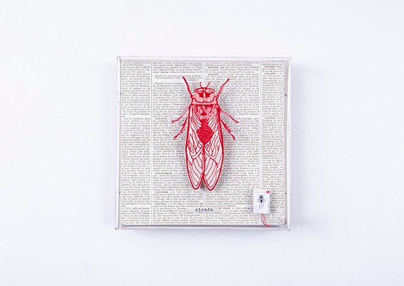 Quadro Galleria P - Botânica Cigarra