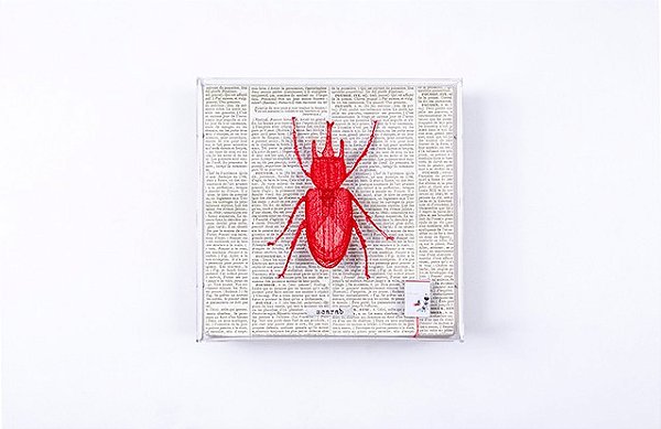 Quadro Galleria P - Botânica Escaravelho