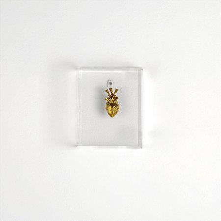 Quadro Caixa Acrílico - Corazon