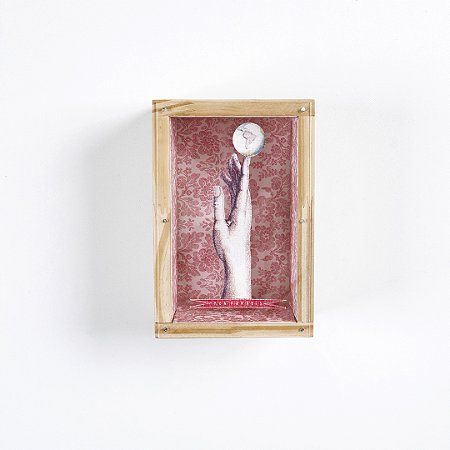 Quadro Caixa Retangular Pinus - Mão Globo Mon Paradis