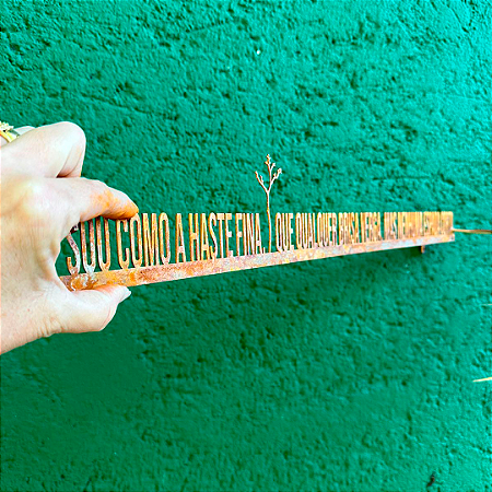 Frase de Ferro - Sou como a haste fina