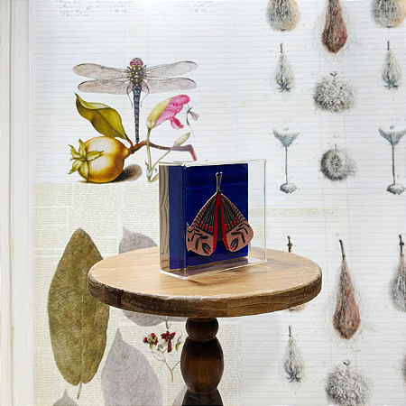 Quadro Acrílico Pinus - Borboleta Bege Fundo Azul