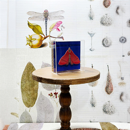 Quadro Acrílico Pinus - Borboleta Vermelha Fundo Azul