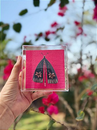 Quadro Acrílico Pinus - Borboleta Cinza Fundo Pink