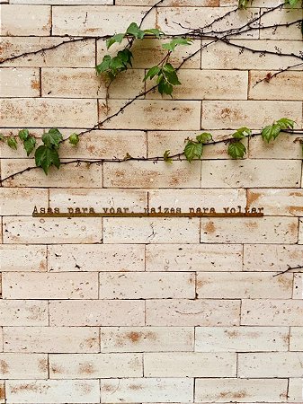 Frase de Ferro - Raízes e Asas