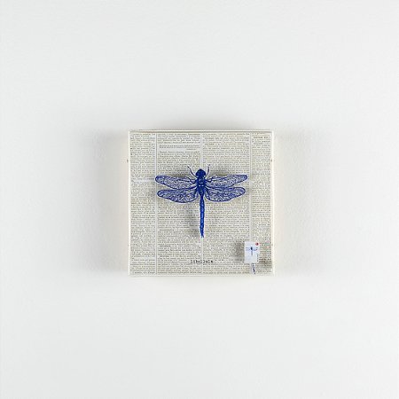 Quadro Galleria P - Botânica Libélula Azul