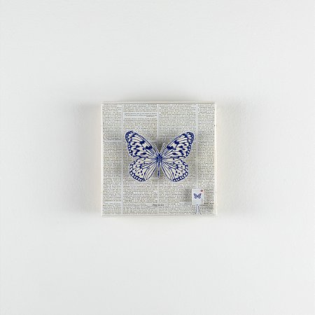 Quadro Galleria P - Botânica Borboleta Azul