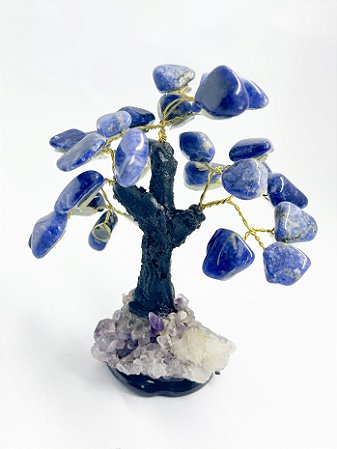 Árvore da Clareza Mental Sodalita Base de Ametista