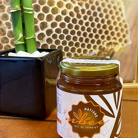Mel de Mandaçaia MBee (300g/240ml) - Caixa com 2-4-6