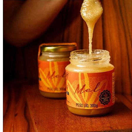 Mel de Terroir In Natura (300g) - Caixa com 6-12-24