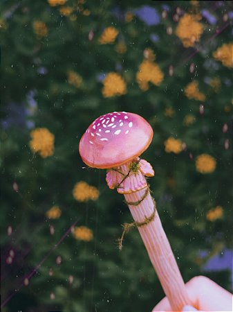 Caneta Cogumelo Rosa 🍄