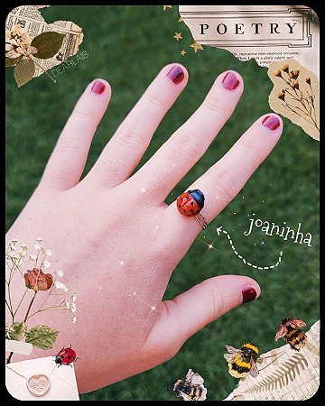 Anel de Joaninha 🐞